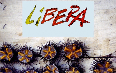Festa di LIBERA - Lecce