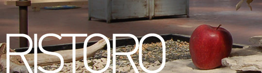 Knos - Ristoro
