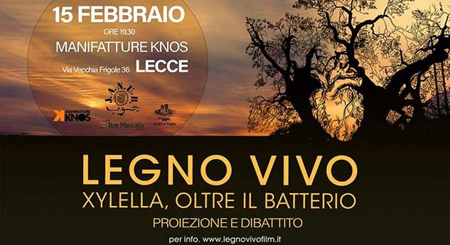 LEGNO VIVO